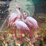 Flamingodega, trikookangas kupongina 200 cm x 150 cm, Stenzo, 17926