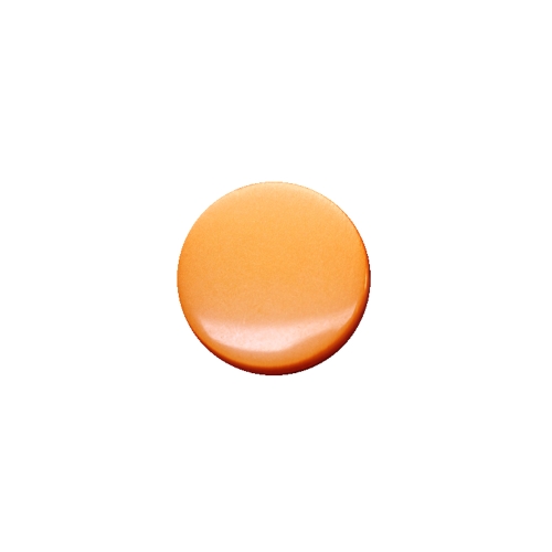 Plastic Shank Button ø15 mm, size: 24L
