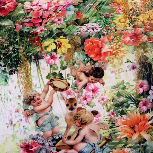 Paradiisiaia teemaline, ökopuuvillast trikookangas kupongina 150cm x75cm Art. 11830