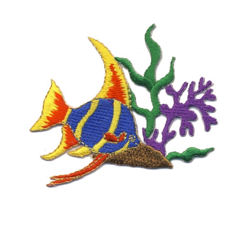 Kala vetikates 6.3 x 6 cm