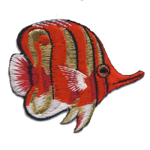Triigitav Aplikatsioon; Korallkalake ujub, paremale, 7 x 6 cm